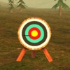 3D Bow and Arrow Archery Games