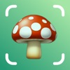 Mushroom Identifier & Fungi ID