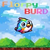 Flurpy Burd