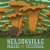 Nelsonville Music Festival