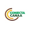 Conecta Canaã