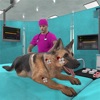 Virtual Pet Hospital-Dog Care