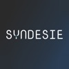 Syndesie Light Control