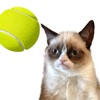 Cat Playing Tennis