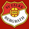 Falke Bergrath