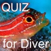 Quiz for Diver -海洋生物クイズ-