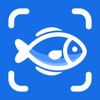 Fish Identifier - Fishby