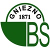 BS Gniezno mobileNet