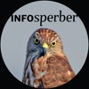 Infosperber