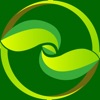 Unity Mobile
