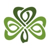 Dublin Irish Festival