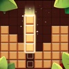 Wood Block Puzzle:Logic Master