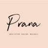 Prana Healing & Wellness