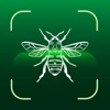 Bug Identifier: Insect Id App