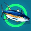 Fidow - Fun fishing simulator