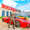 Car Dealer Job Simulator