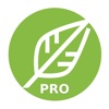 JianPu Editor Pro