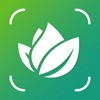 Plant Identifier App - Leafy