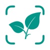 AI Plant Identifier - Plantz