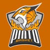 Pintobasket ECB