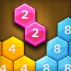 Hexa Number Puzzle