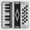 Accordion Piano: Learn to Play