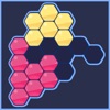 Hexa Block puzzle match game