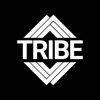 Wild Tribe Academy