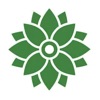АГРОАСТРА СЕМЕНА