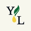 Young Living Essentials