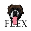 Flex by The Lifters Guild