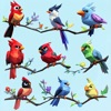 Bird Sort Color: Puzzle Game