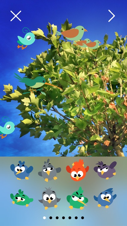 Birds Stickers screenshot-3