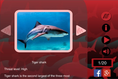The Best Sharks+ screenshot 3