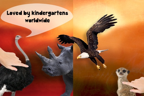 Free Play with Wildlife Safari Animals Sound game Game photo for toddlers in preschool, daycare and the creche screenshot 3