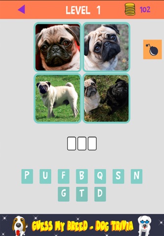Dog Breeds Quiz & Trivia Game - Guess my breed! (Free) screenshot 2