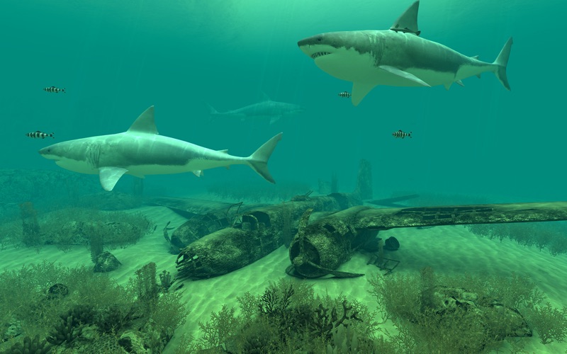 Sharks_3D.app caprure 3 3_Sharks_3D.jpg