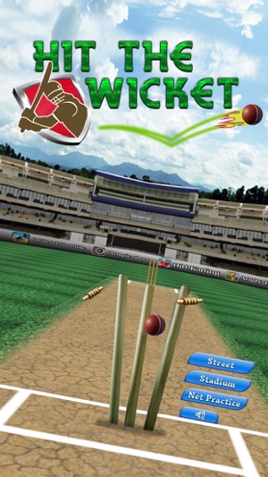 Hit The Wicket(圖1)-速報App