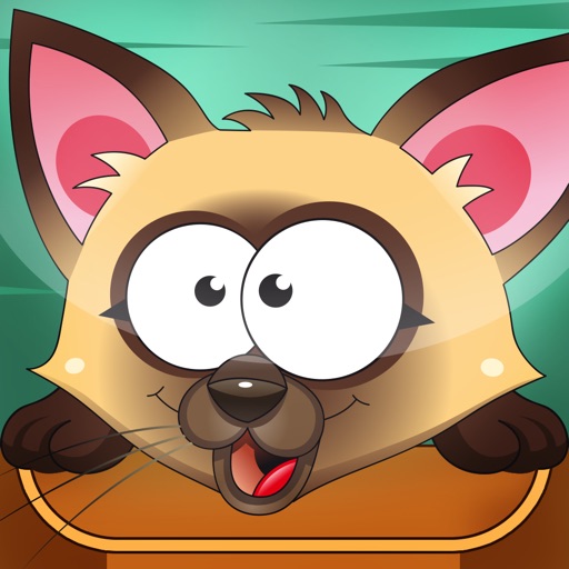 A Cat Learning Game for Children: Learn and play for nursery school icon