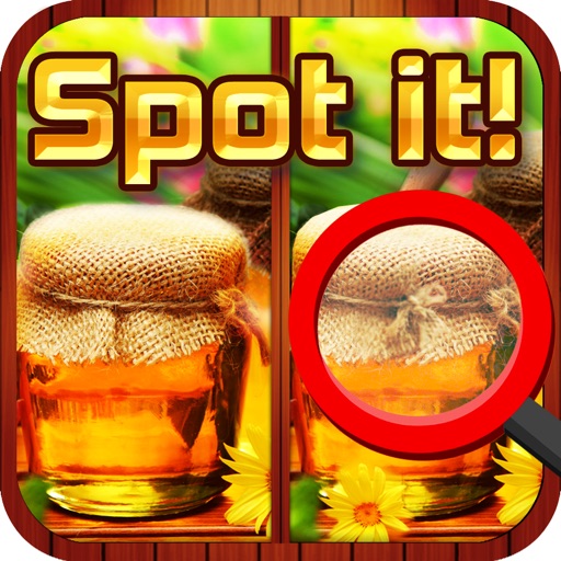 Find the 5 Differences - Spot and Tap the Hidden Differences Between Two Images Icon