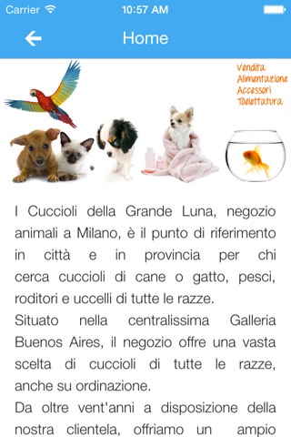 I Cuccioli Della Grande Luna screenshot 2