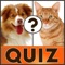 Icon Free english vocabulary quiz