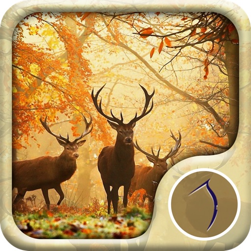Autumn Wallpaper: Best HD Wallpapers Icon