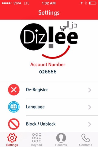 Dizlee screenshot 2