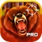 Awesome Bear Hunter Shooting Game With Cool Sniper Hunting Games For Boys PRO