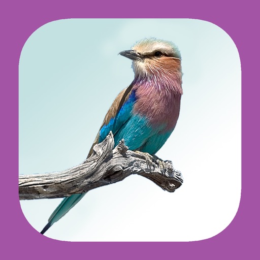Sasol eBirds of the Kruger National Park iOS App