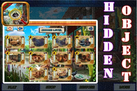 Hidden Object : Wonderful Holidays screenshot 3