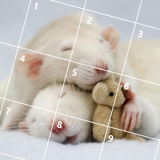 Cute Mouse Jigsaw Puzzles iOS App