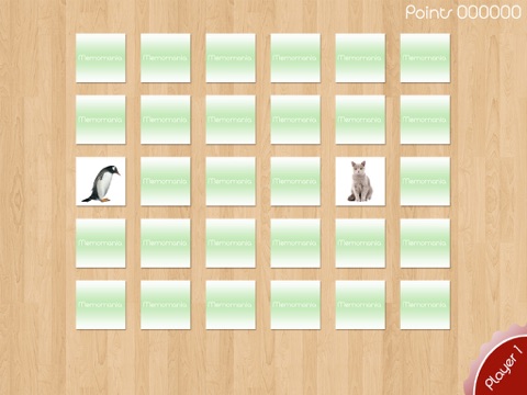 Memomania TwoPairs Puzzle screenshot 3