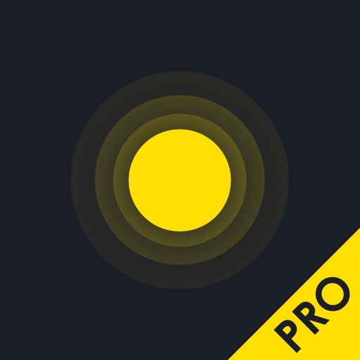 1 DOT Pro